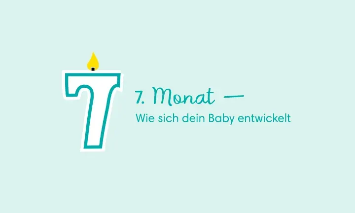 7. Monat