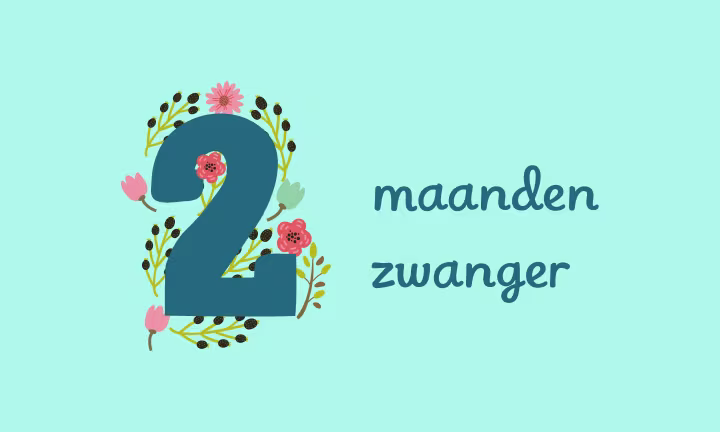 2 maanden zwanger