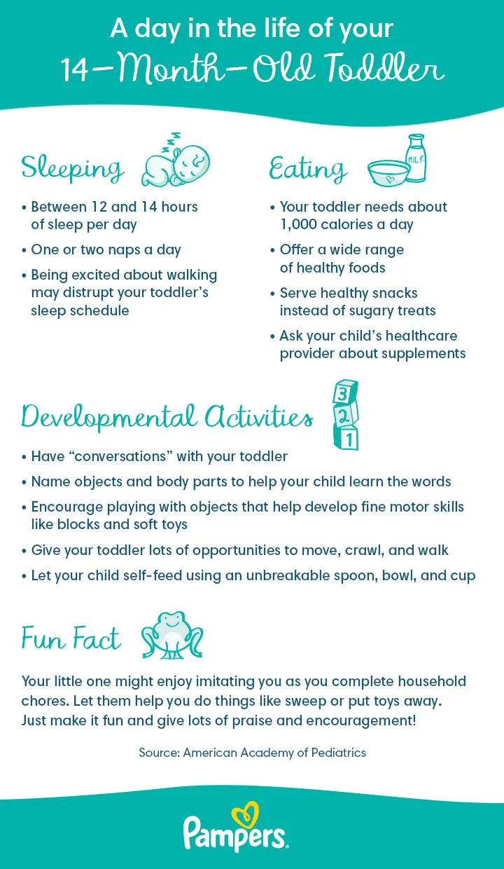 14-Month-Old daily routine 14-Month-Old daily routine