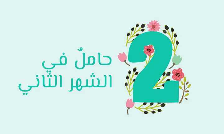 الشهر الثاني من الحمل