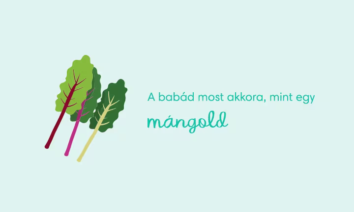 pregnancy-week-by-week-week-37