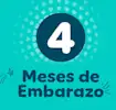 4 meses de embarazo