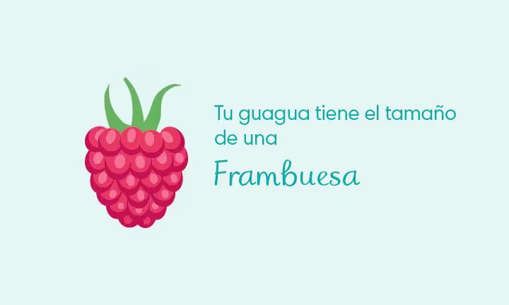 8 semanas de embarazo