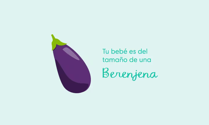 Tu bebé es del tamaño de una berenjena