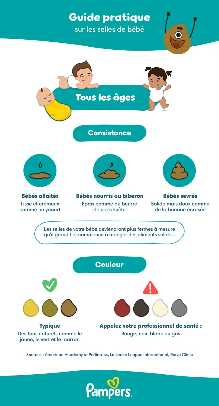 Guide pratique sur les selles de bébé Guide pratique sur les selles de bébé