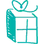 Gift Icon