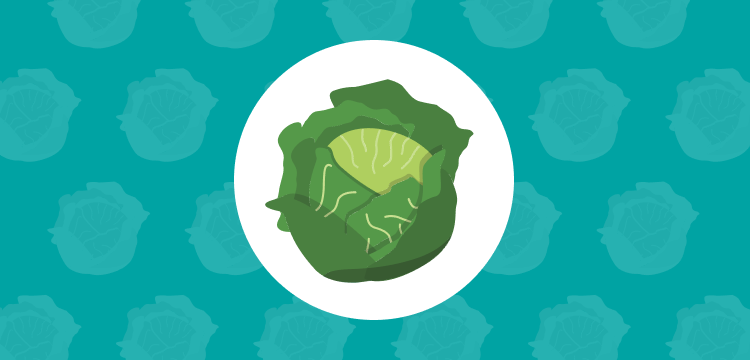 cabbage