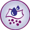 Sistema único de absorción