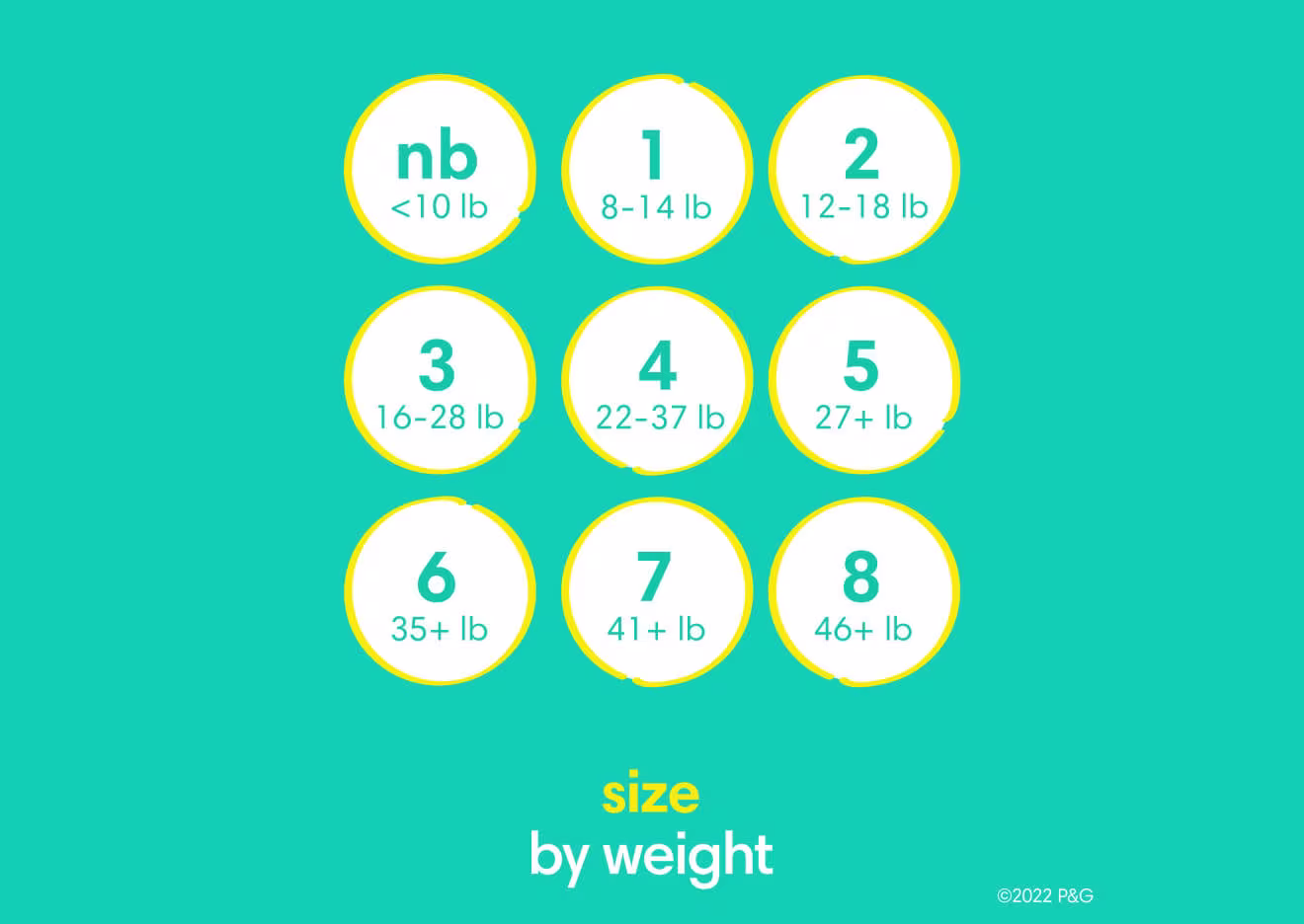 L’image présente toutes les différentes tailles offertes pour les Swaddlers, de Nouveau-né à la taille 8.