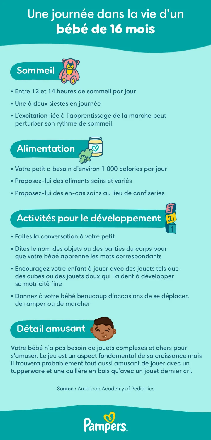 Planning quotidien d’un bébé de 16 mois Planning quotidien d’un bébé de 16 mois