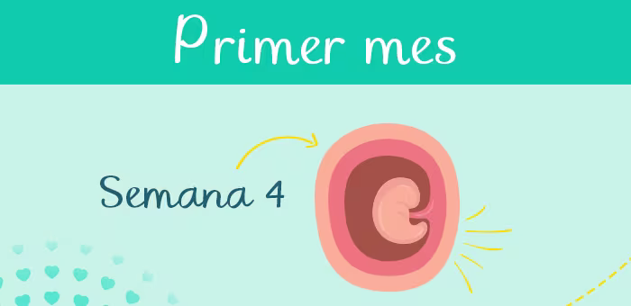 Primer mes de embarazo. Posibles síntomas