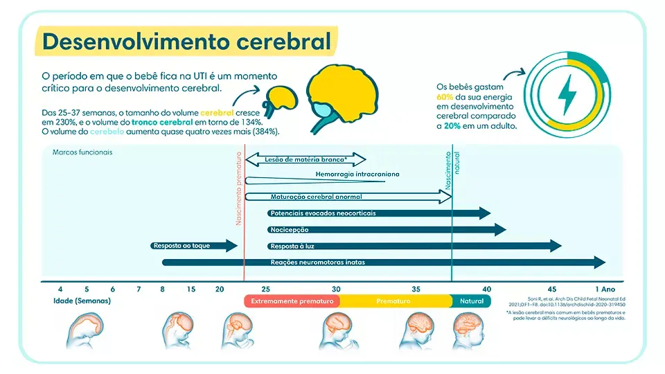 Desenvolvimento Cerebral - Prematuro | Pampers® Brasil Desenvolvimento cerebral do bebê prematuro