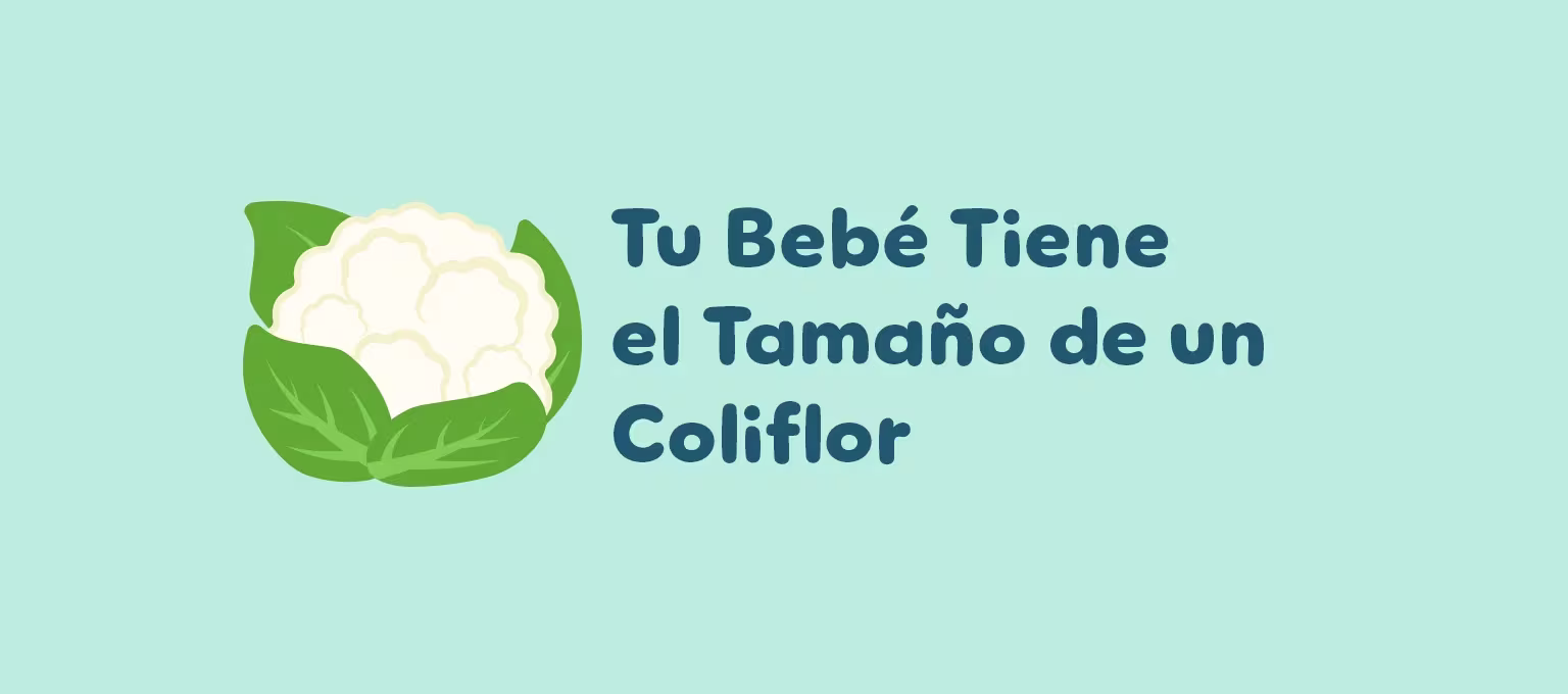 Semana 27 de embarazo