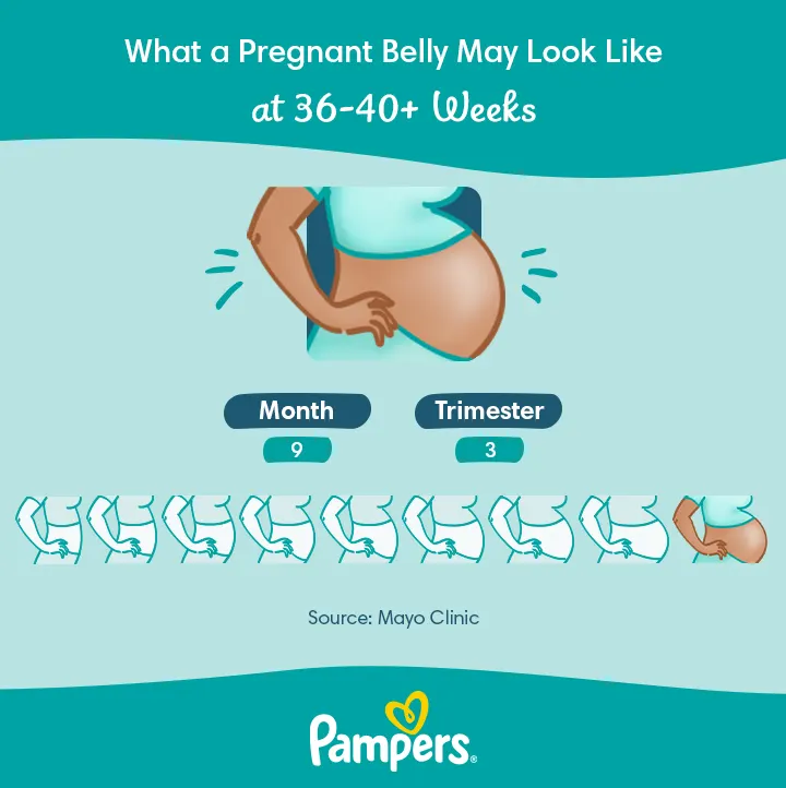 38 weeks pregnant belly  38 weeks pregnant belly