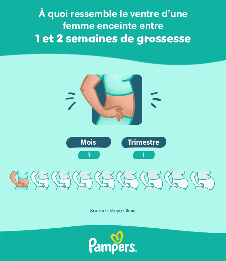 Ventre d’une femme enceinte après 1 semaine de grossesse Ventre d’une femme enceinte après 1 semaine de grossesse