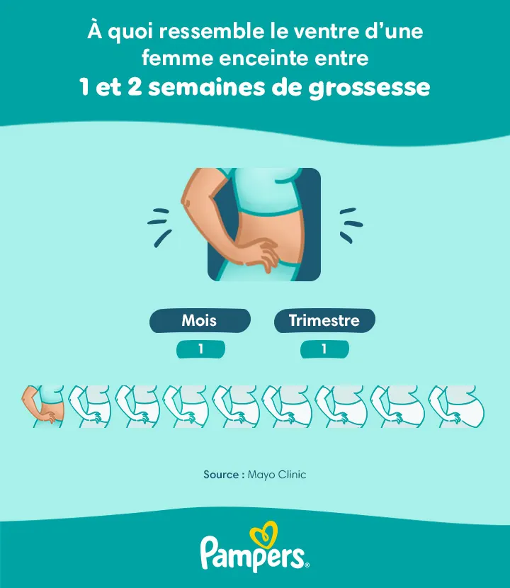 Ventre d’une femme enceinte après 1 semaine de grossesse