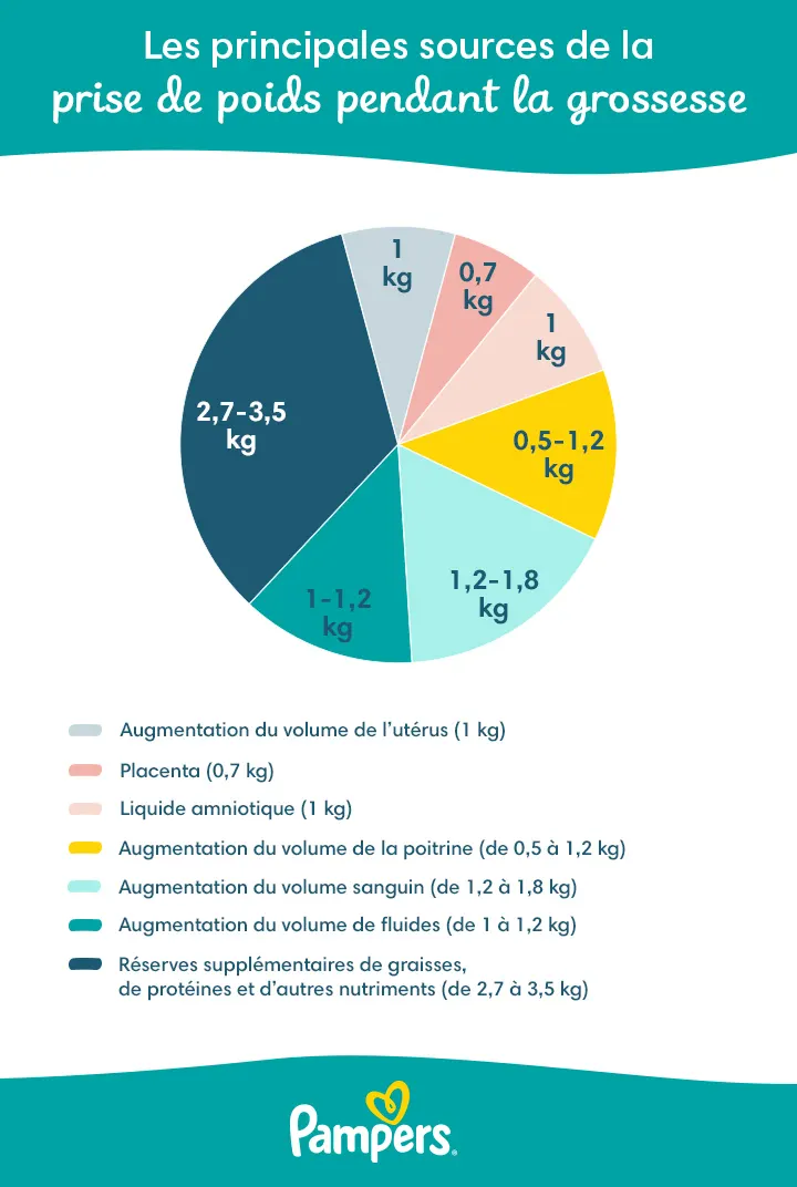 sources de la prise de poids pendant la grossesse 