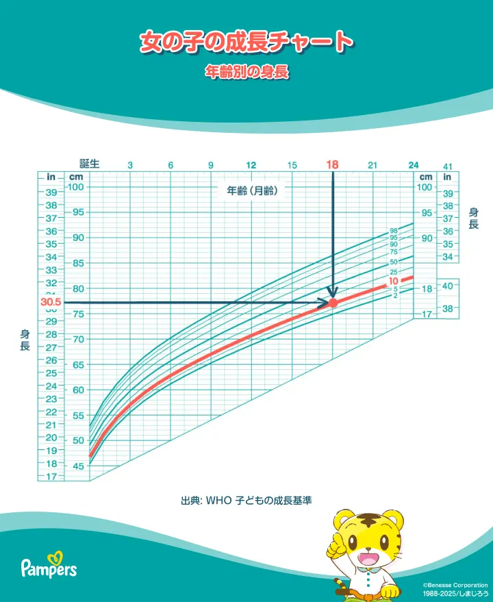 女の子用の赤ちゃん成長曲線（年齢別の身長