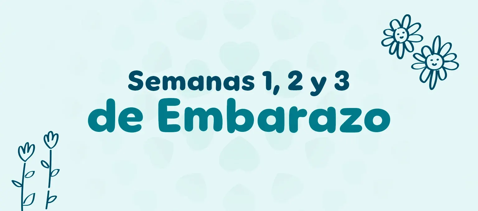 Semanas 1, 2 y 3 de embarazo Semanas 1, 2 y 3 de embarazo