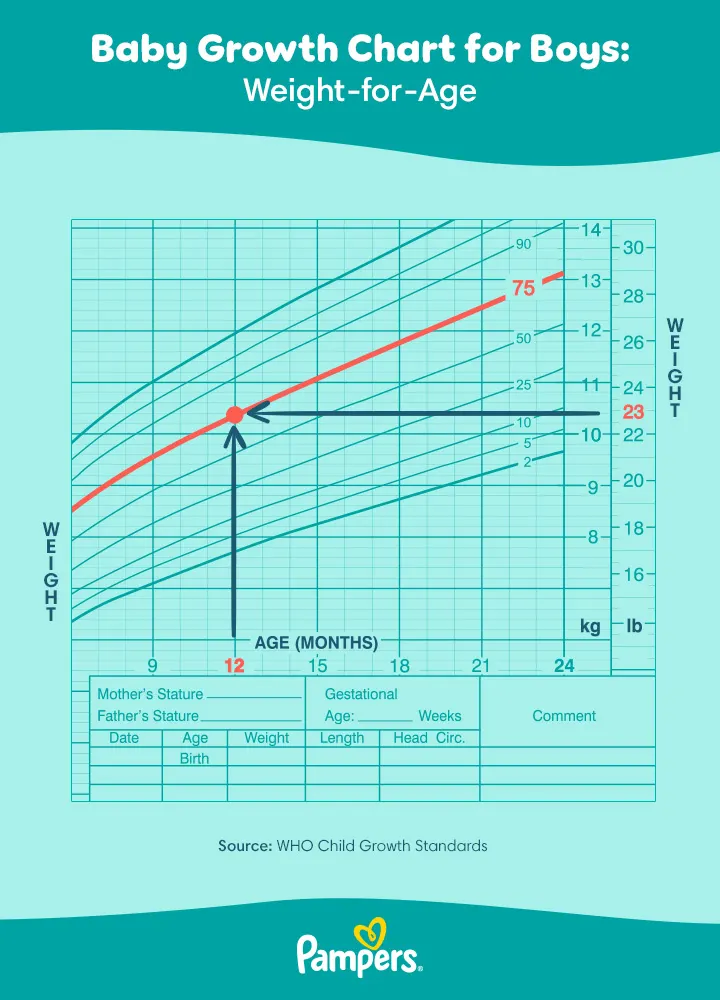 Baby growth chart for boys