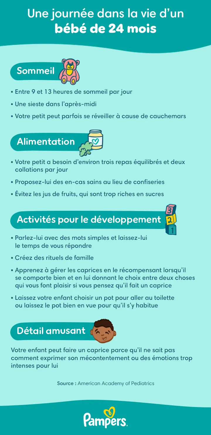 Une Journée dans la vie de votre bébé de 24 mois