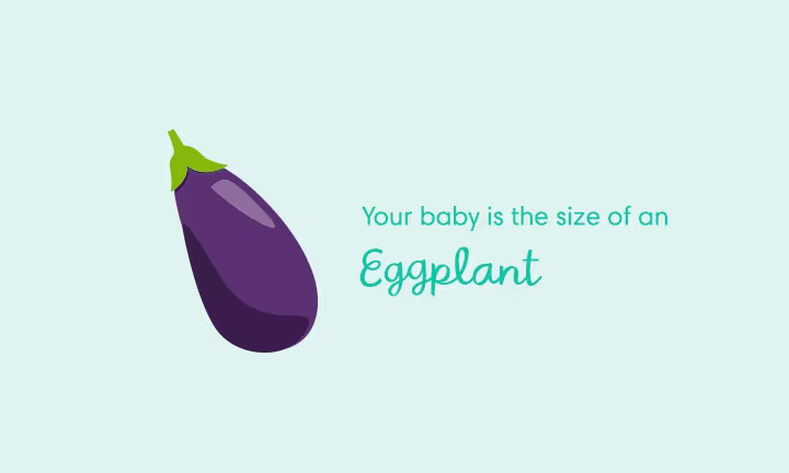 Your baby is the size of an eggplant