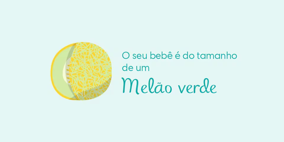 Your baby is the size of a honeydew melon