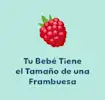 8 Semanas de Embarazo