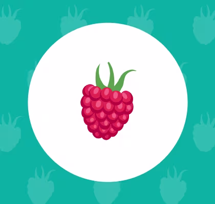 Raspberry icon