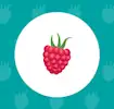 Raspberry icon