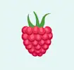 Raspberry icon