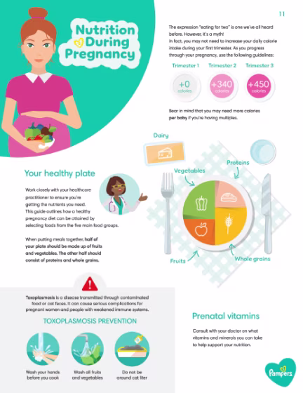 Nutrition During Pregnancy