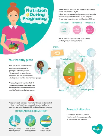 Nutrition During Pregnancy