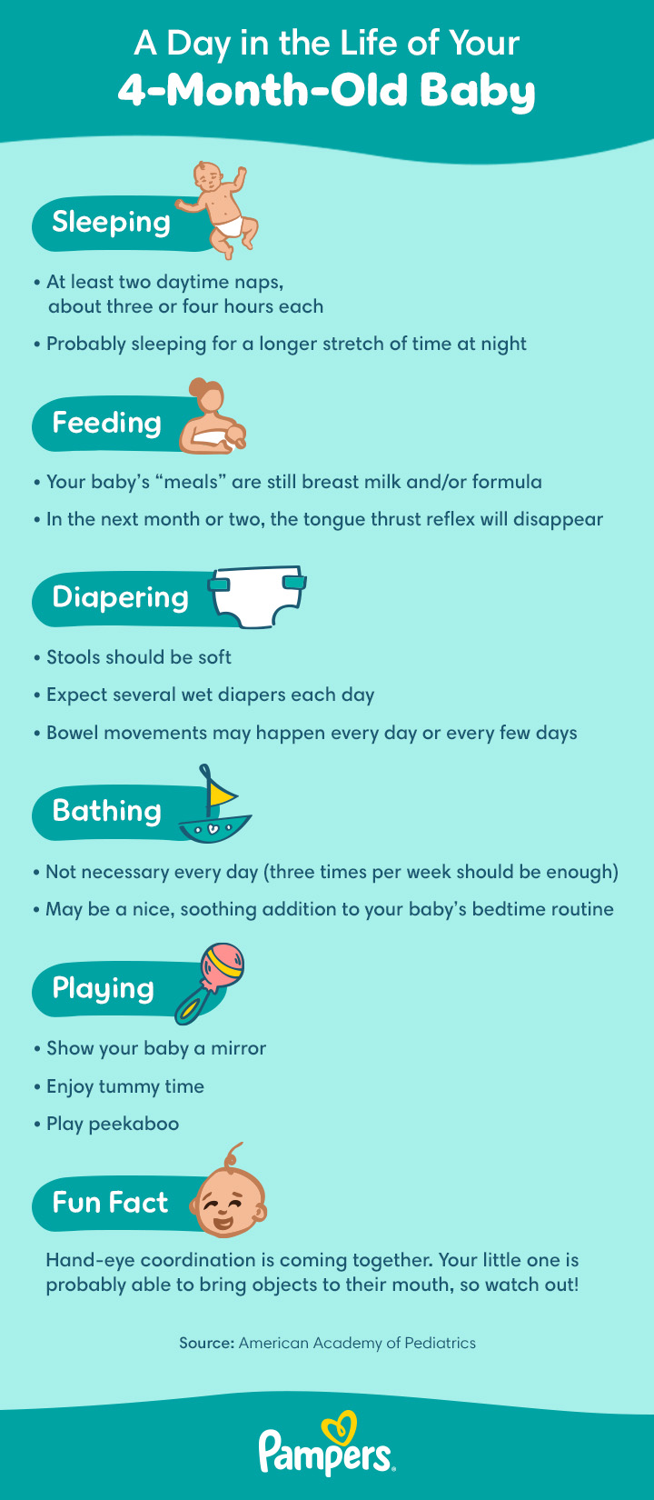 What Should a Daily Newborn Routine for Development Look Like: Essential Steps