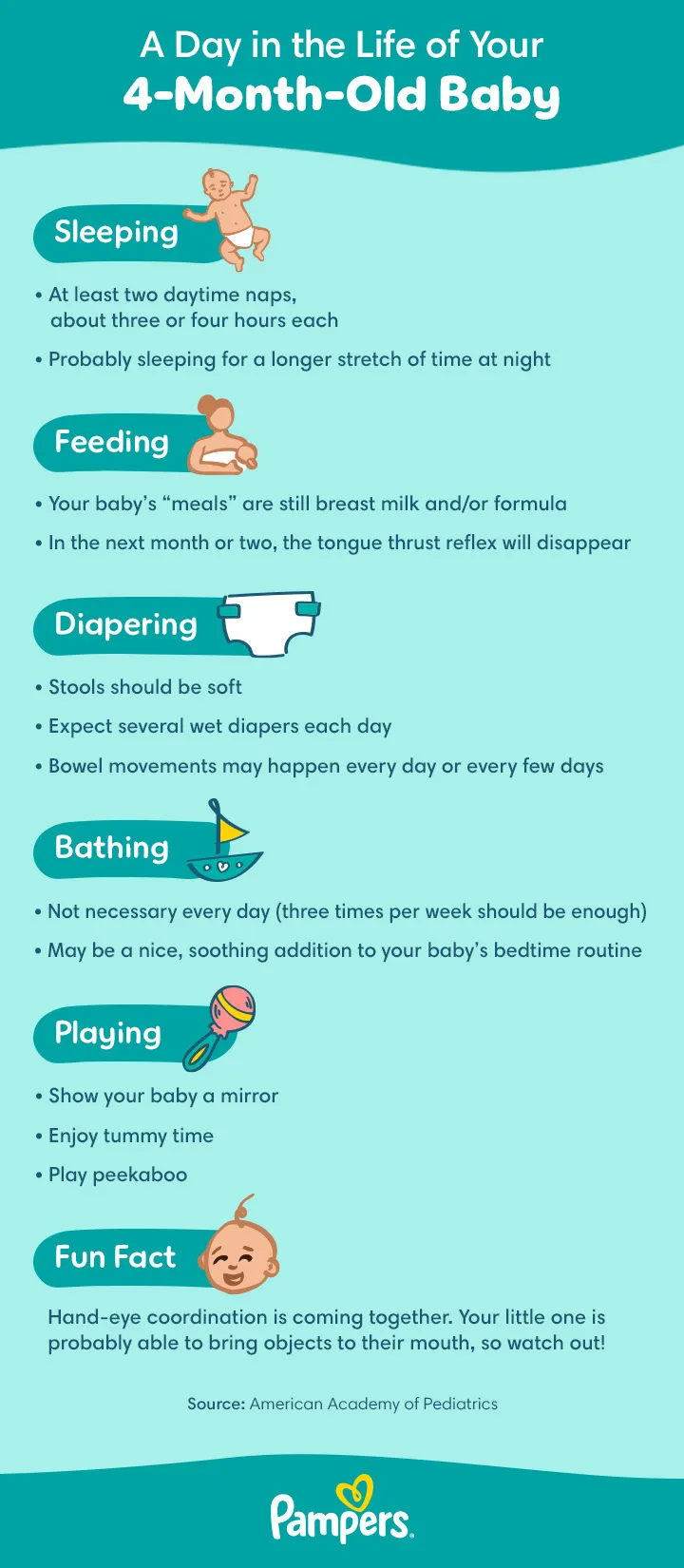 What Should a Daily Newborn Routine for Development Look Like: Essential Steps
