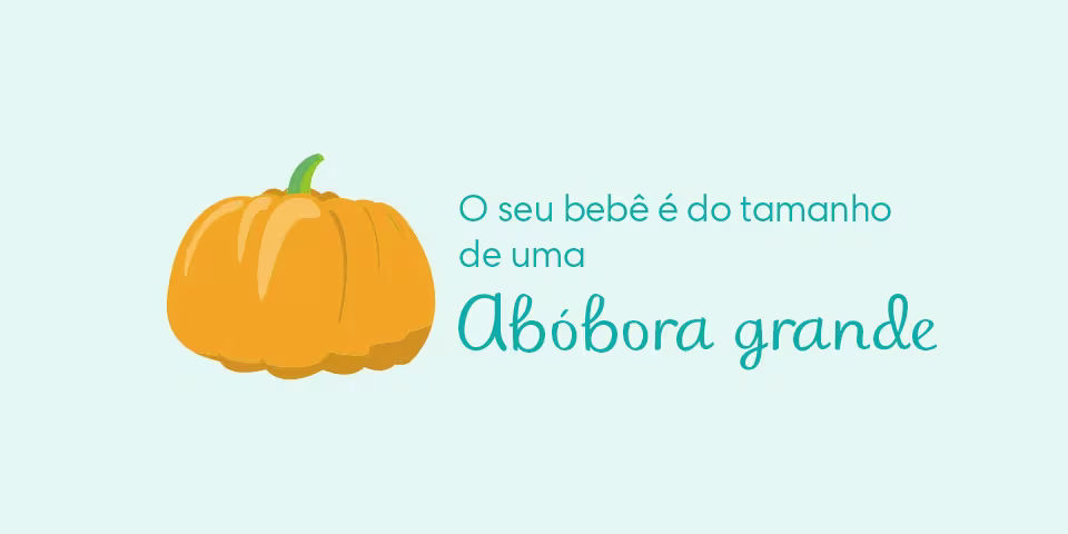 Your baby is the size of a pumpkin
