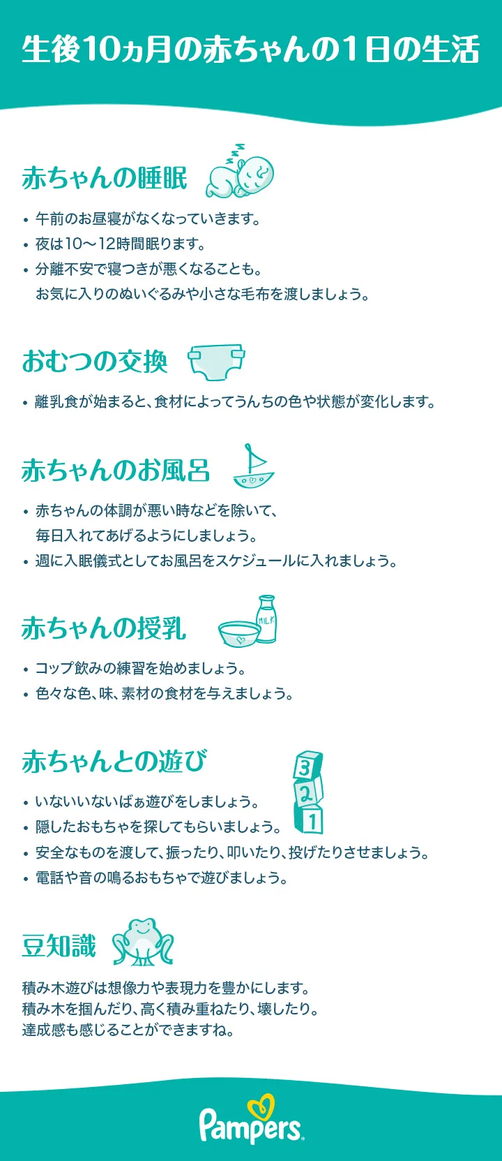 生後 10 ヶ月 スケジュール