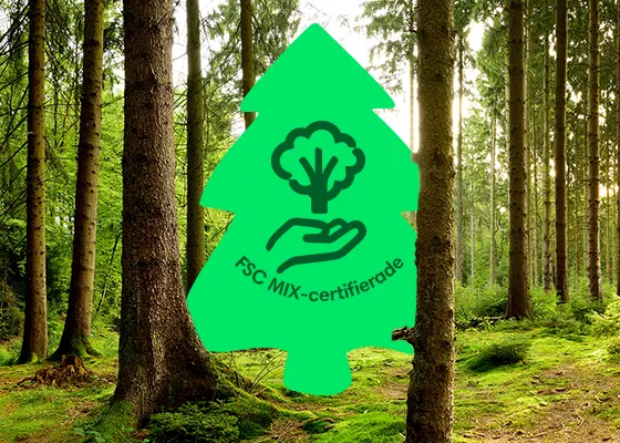 3432 Pampers SE Harmonie Product page OCT24 image2 560x400