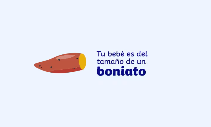 Semana 18 de embarazo 