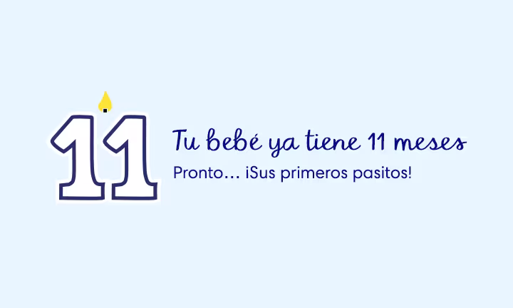 Bebé de 11 meses
