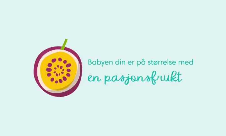 Week 12 pregnancy