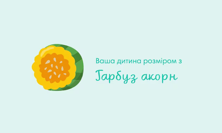 pregnancy-week-by-week-week-25