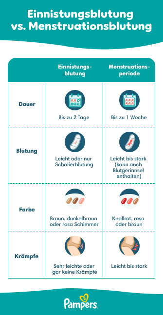 Einnistungsblutung: Anzeichen, Aussehen und Unterschiede | Pampers DE