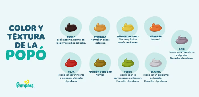Color y textura de la popó - Deposiciones del bebé Color y textura de la popó - Deposiciones del bebé