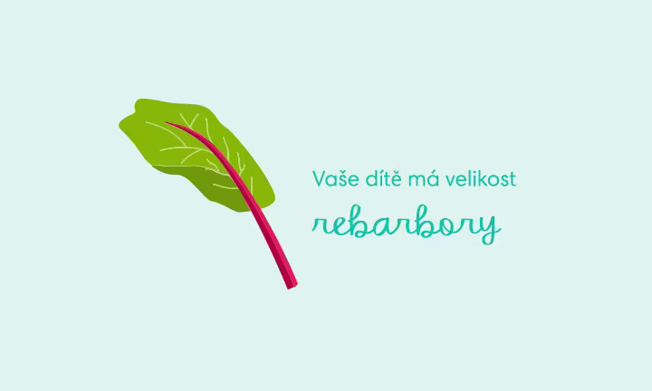 pregnancy-week-by-week-week-38