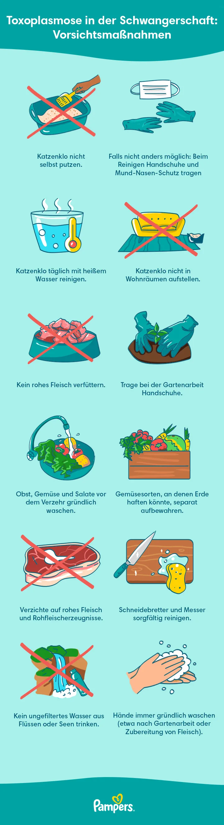 Toxoplasmose in der Schwangerschaft: Vorsichtsmaßnahmen Toxoplasmose in der Schwangerschaft: Vorsichtsmaßnahmen