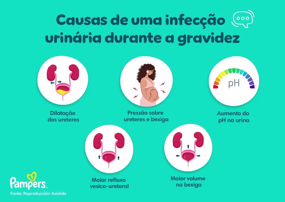 o que é a micção na gravidez o que é a micção na gravidez