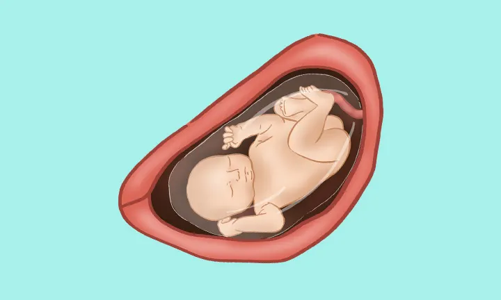 妊娠32週目 妊娠32週目