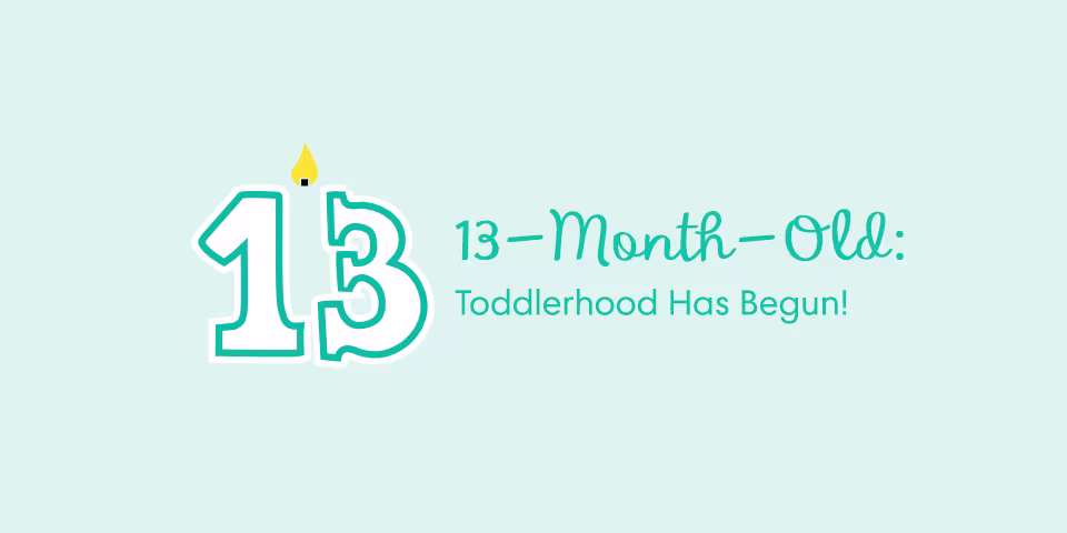 13 Month Old Baby