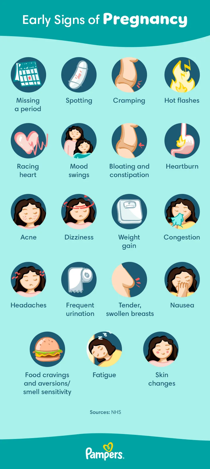 Early signs of pregnancy. Early signs of pregnancy.